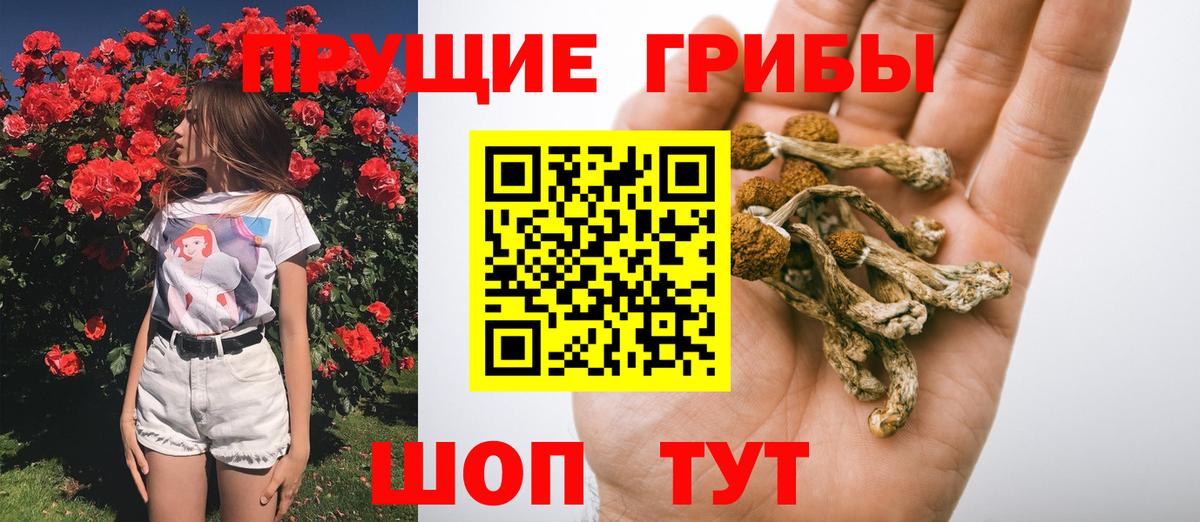 Псилоцибиновые грибы прущие грибы Благовещенск